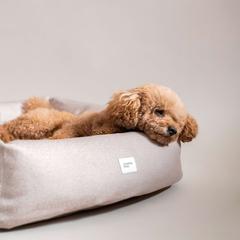 Collection image for: Háziállatoknak