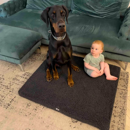 Hugó - szőrös kutyafekhely (matrac)