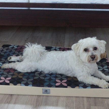 Magic - Memory kutya matrac - XL