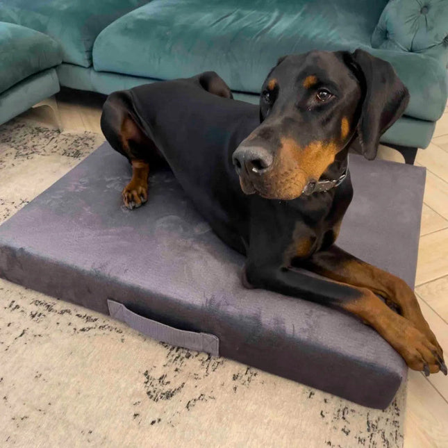 Prémium matrac kutyafekhely - Szürke