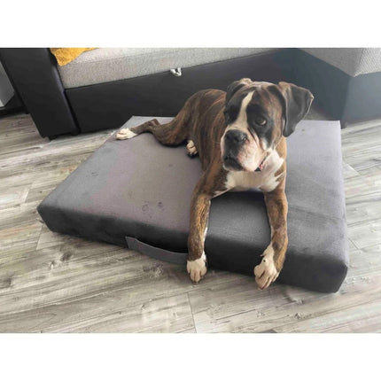 Prémium matrac kutyafekhely - Szürke