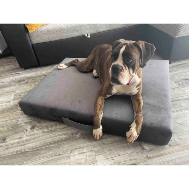 Prémium matrac kutyafekhely - Szürke