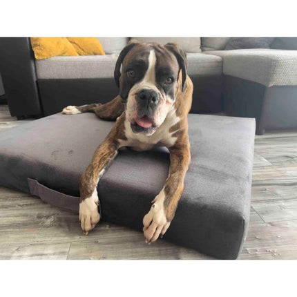 Prémium matrac kutyafekhely - Szürke