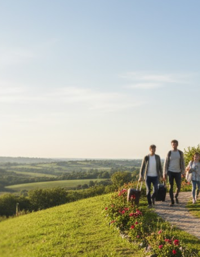 <h1><strong>Panzióknak</strong></h1>